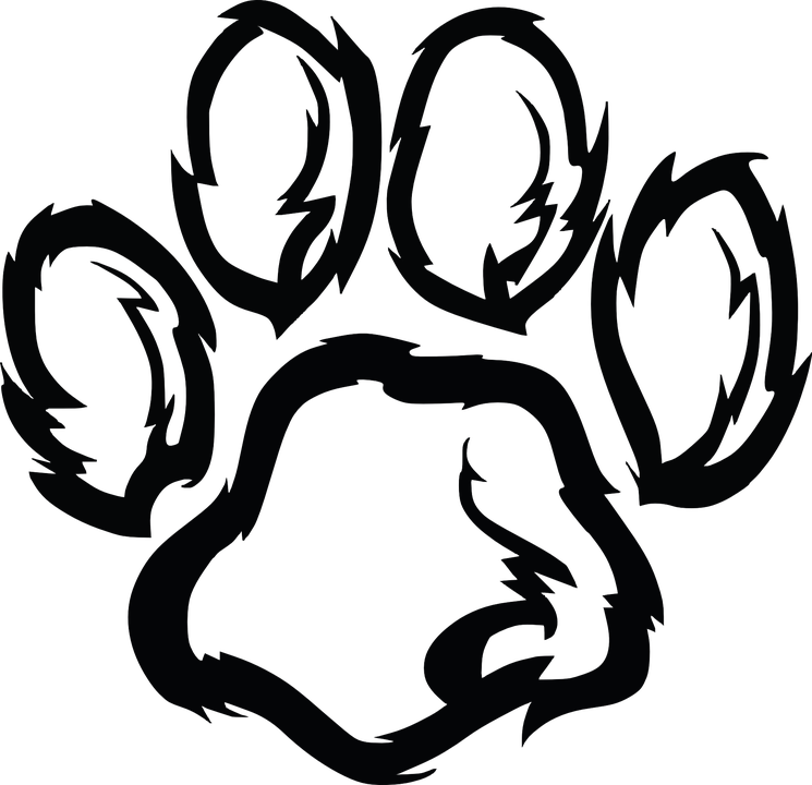 Paw Png Photo (gray, black)