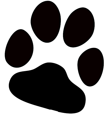 Paw Print Png Isolated Hd (gray, black)