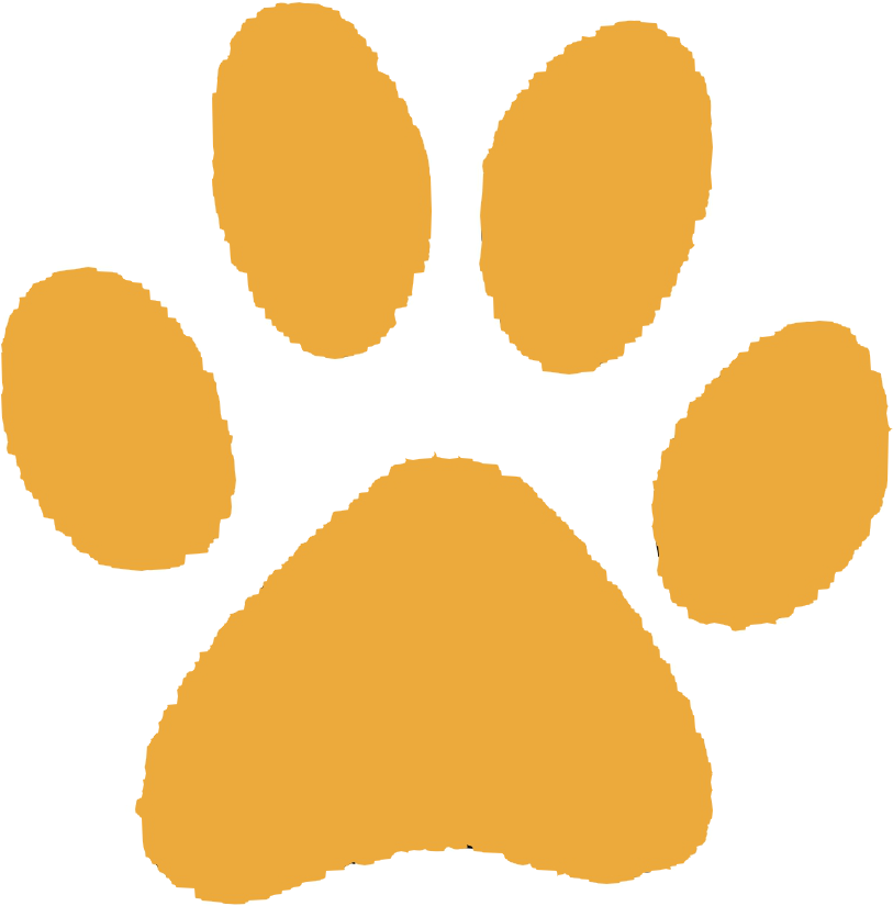 Paw Print Png Photos (black, orange)