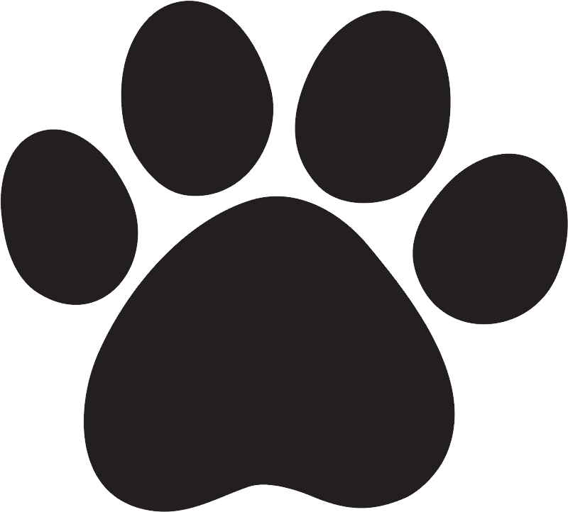 Paw Transparent Isolated Background (black)