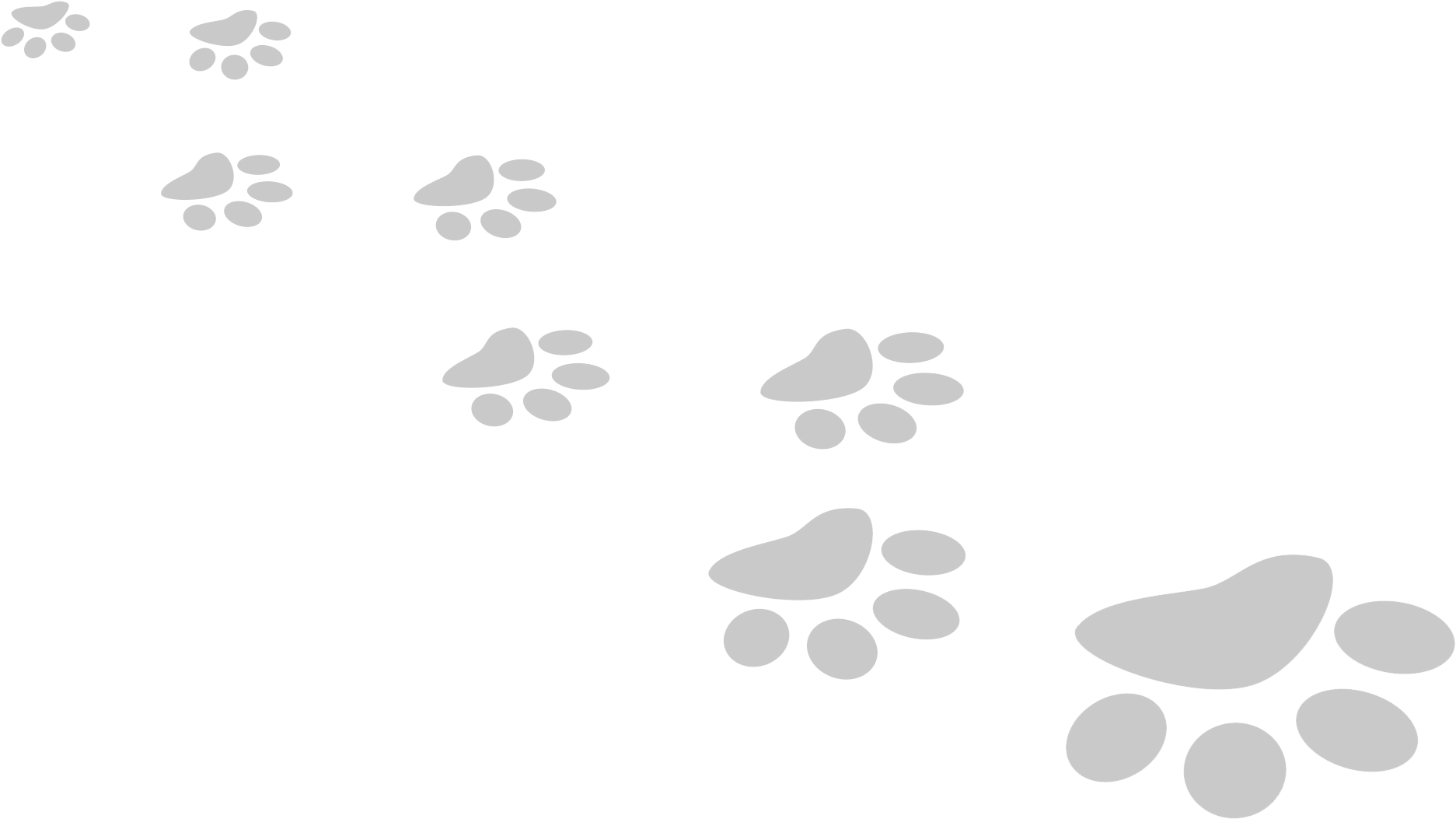 Paw Transparent Isolated Png (black, silver)