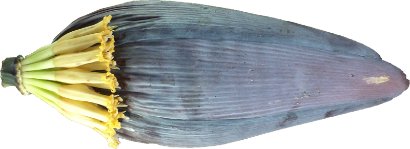 Raw Banana Flower Png Hd (gray, silver, black)