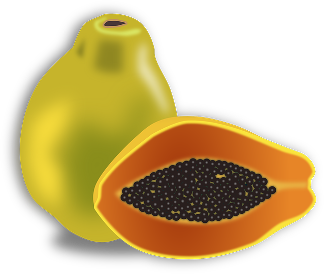 Raw Papaya Png Photos (chocolate, olive, orange, black)