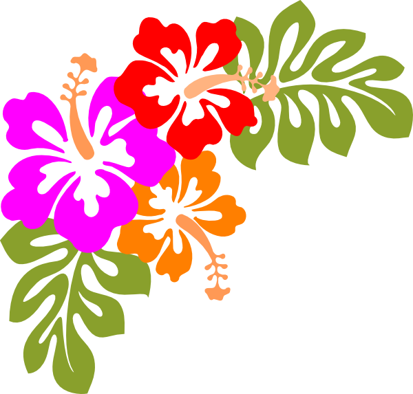 Hawaiian Luau Aloha Flower Png Photos (olive, purplish red, black, orange, red)