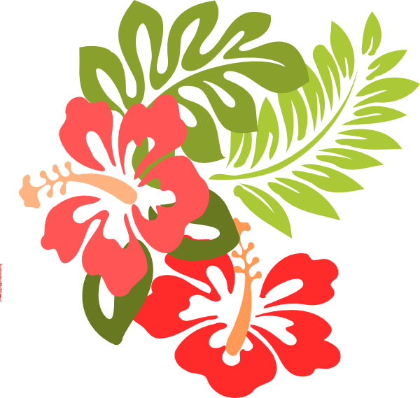 Hawaiian Luau Aloha Flower Transparent Png (white, red, olive, salmon)