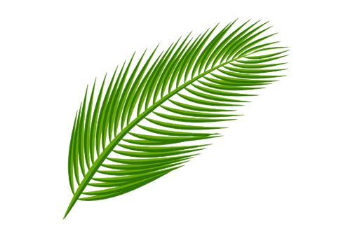 Hawaiian Luau Transparent Png (olive, black)