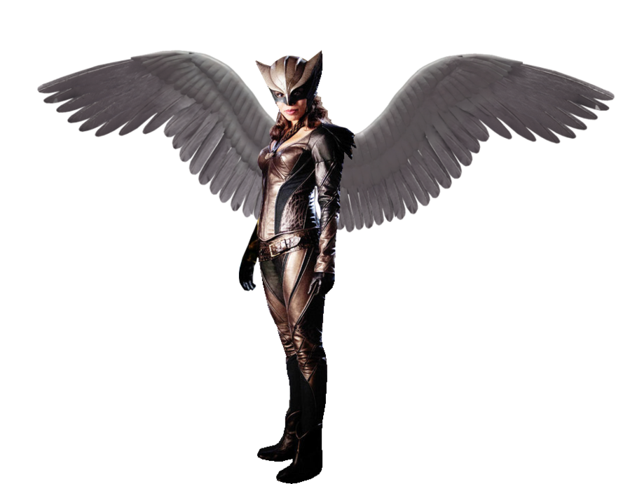 Hawkgirl Png Photos (black, gray)