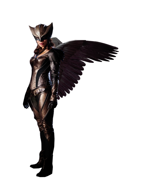 Hawkgirl Png Transparent Image (black)