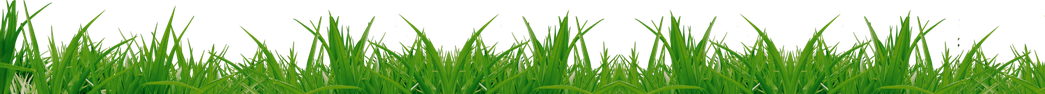 Lawn Background Isolated Png (olive, green, black)