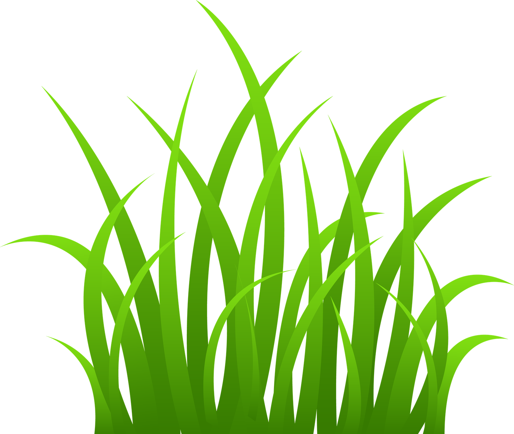 Lawn Grass Png Transparent Image (olive, green, black)