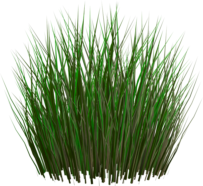 Lawn Grass Png Transparent (black)