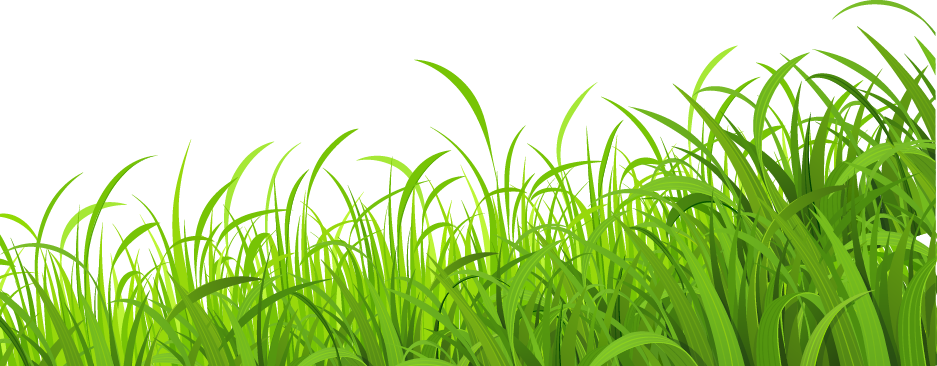 Lawn Grass Png (white, beige)