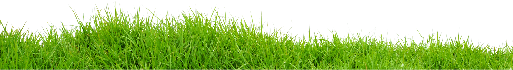 Lawn Grass Transparent Background (olive, black)