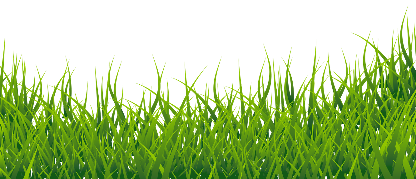 Lawn Grass Transparent Images Png (olive, black)