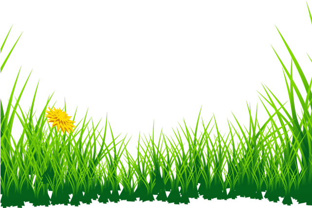 Lawn Png Clipart (green, black)