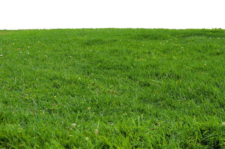 Lawn Png Free Download (olive, black)