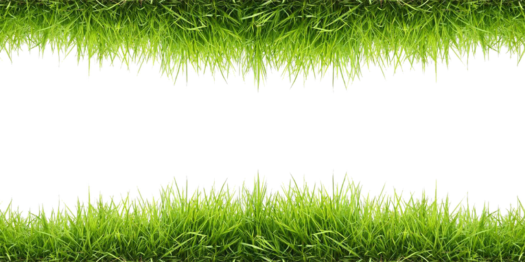 Lawn Png Image (olive, green, black)