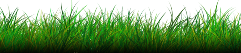 Lawn Png Isolated Clipart (white, green)