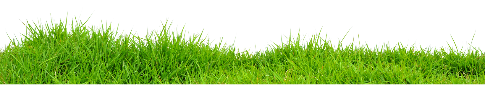 Lawn Png Isolated File (black)