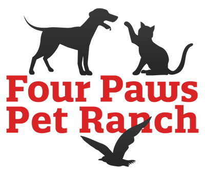 Paws Png (red, gray)