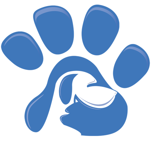 Paws Png Photos (black, teal, gray)