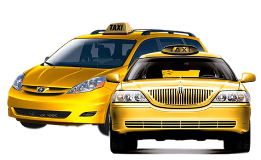 Taxi Yellow Transparent (black, lavender, white, silver)