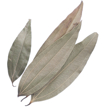 Bay Leaves Png Clipart (black, gray, silver)