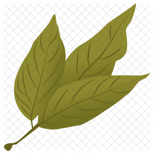 Bay Leaves Png Hd (indigo, black, olive)