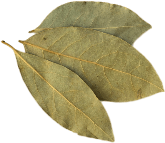 Bay Leaves Png Isolated Hd (black, gray)