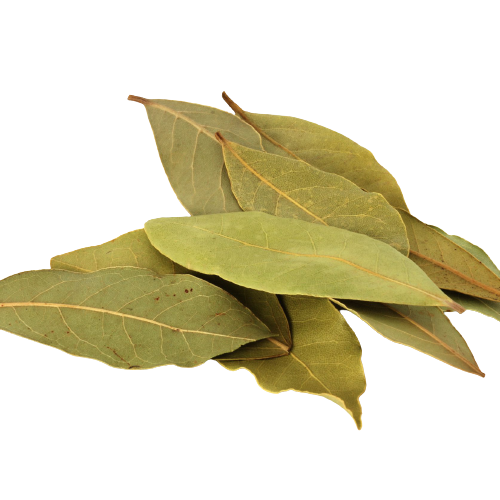 Bay Leaves Png Photo (black, gray)