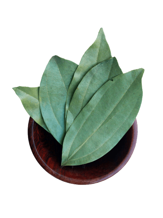 Bay Leaves Png Transparent (black, gray)