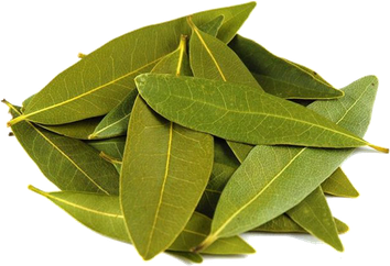 Bay Leaves Png (black, olive)