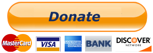 Paypal Donate Button Png Transparent Image (orange, beige, salmon, white, pink)