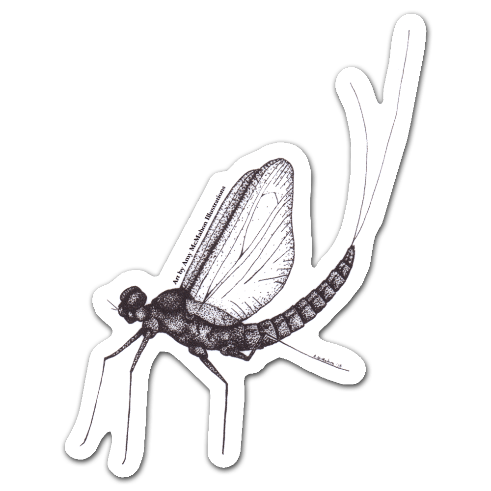 Mayfly Png File (white, gray)