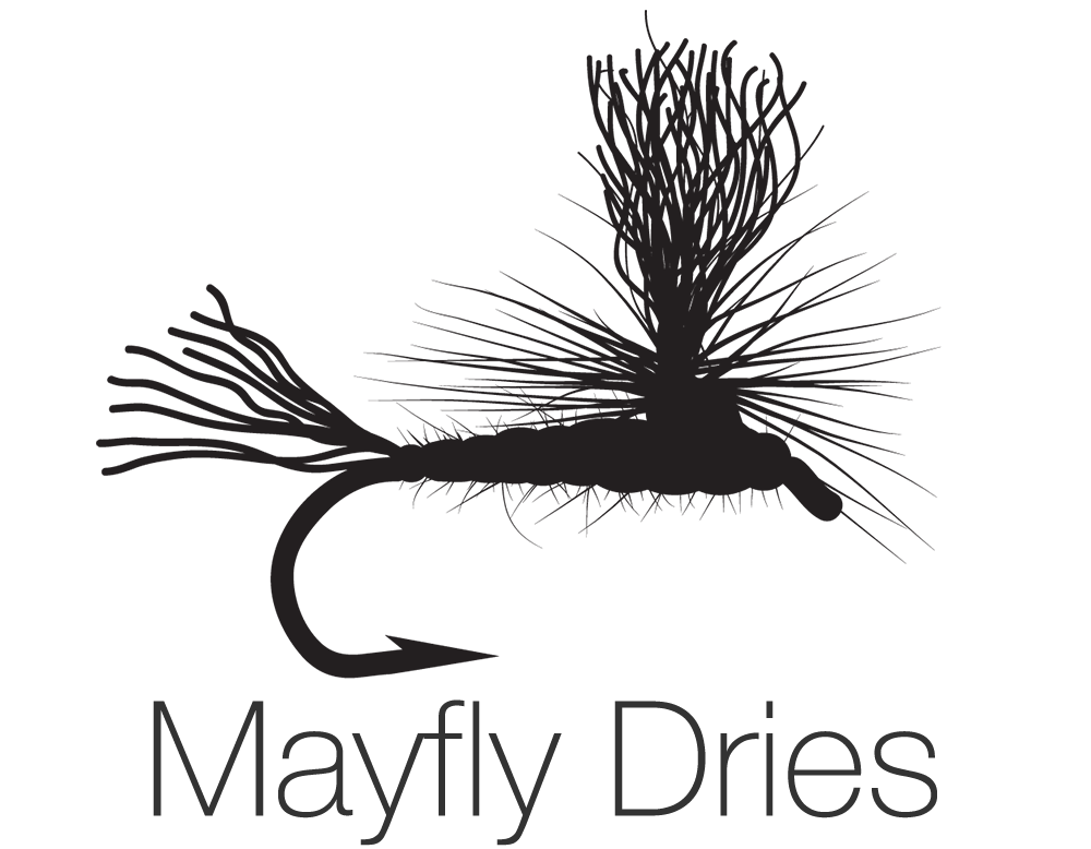 Mayfly Png Hd (gray, black)