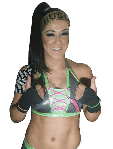 Bayley Render Transparent Background (black, gray, indigo)