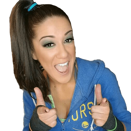 Bayley Render Transparent Png (teal, olive, maroon, black, gray)