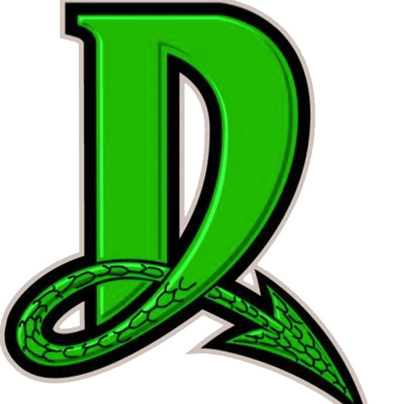 Dayton Dragons Png File (black, green)