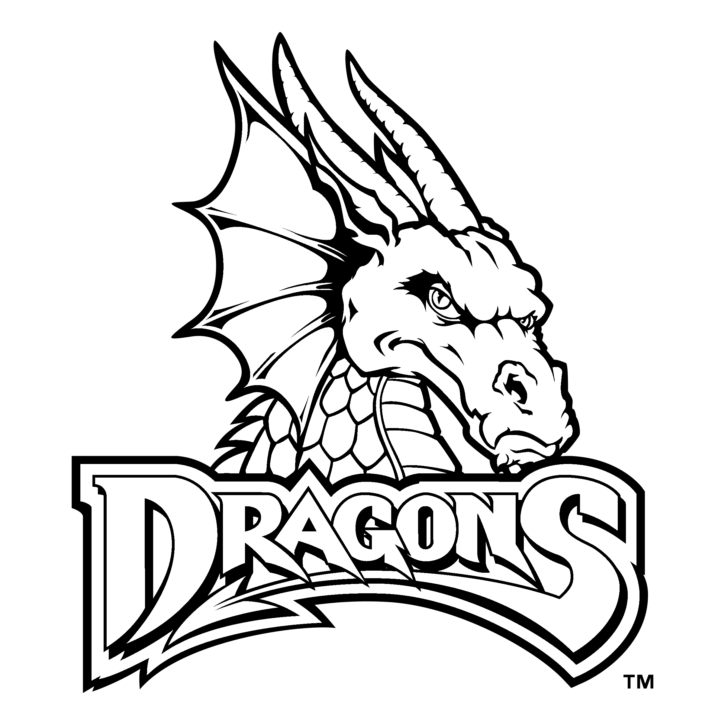 Dayton Dragons Png Hd (gray, black, silver, white)