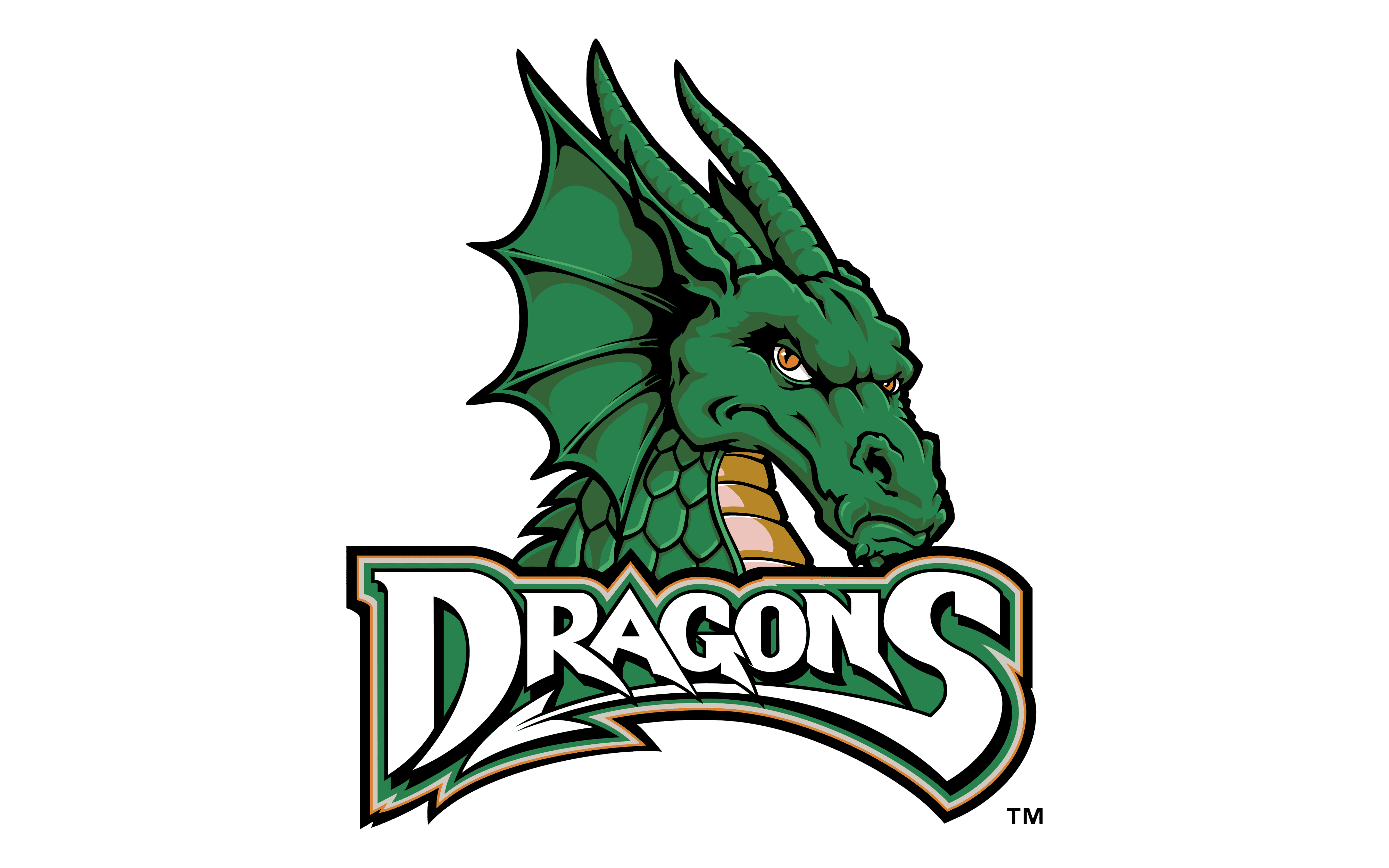 Dayton Dragons Png Pic (gray, white, green, teal)