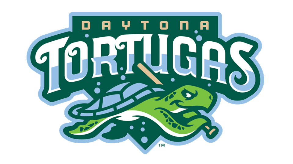 Daytona Tortugas Png Hd (teal, black, white, green, silver)