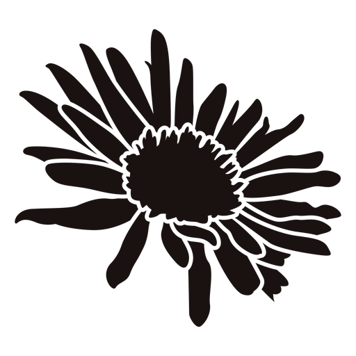 Gazania Png Cutout (black)