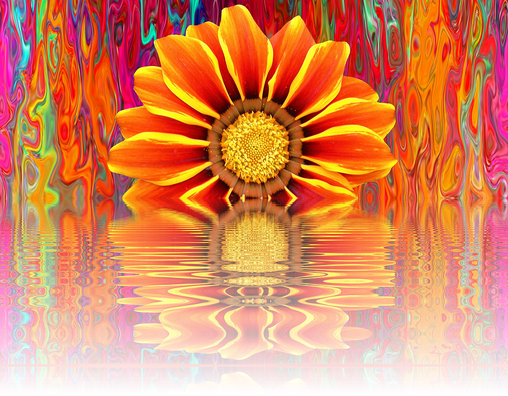 Gazania Png Photo (chocolate, orange, red)