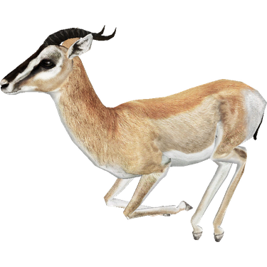 Gazelle Png Free Download (black)