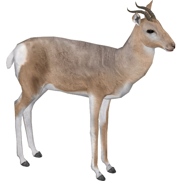 Gazelle Png Pic (silver, white)