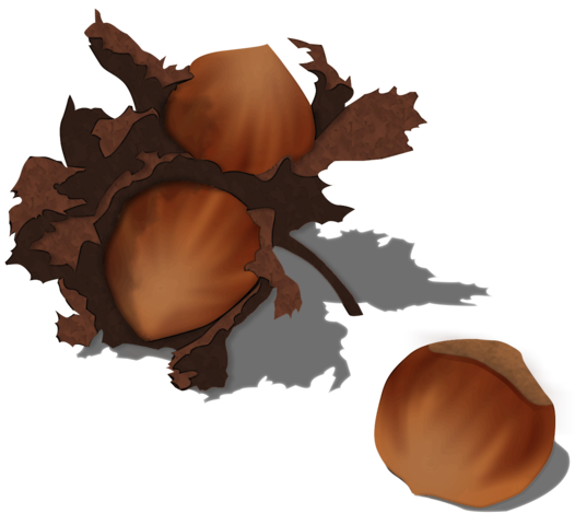 Hazelnut Png Image (black, maroon)