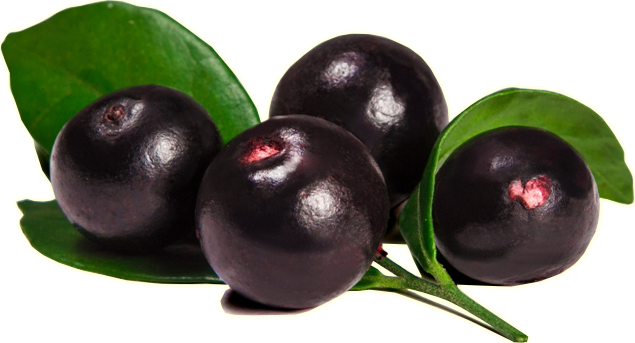 Acai Berry Png Free Download (white, beige, black)