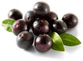 Acai Berry Png Hd (white, black)