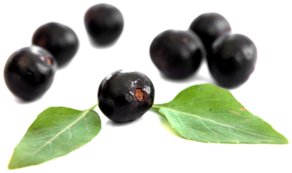 Acai Berry Png Isolated Hd (black)