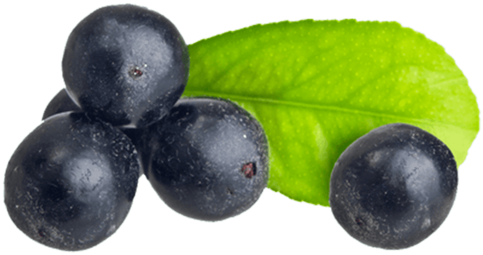 Acai Berry Png Isolated Image (black, olive)